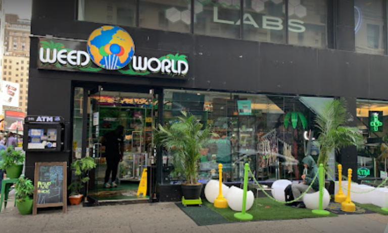 weedworld nyc 768x462