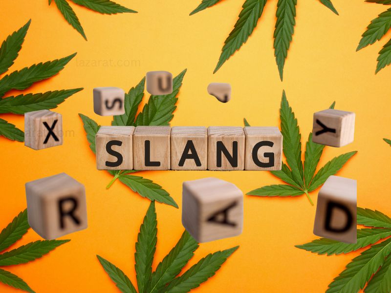 From ‘Bud’ to ‘Zig-Zag’ A Comprehensive Guide to Marijuana Slang