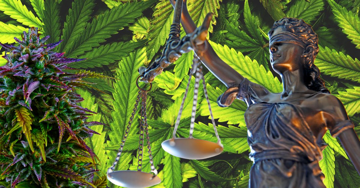 Justice Dept’s Bold Shift on Marijuana Reclassification